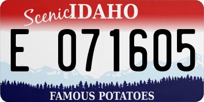 ID license plate E071605