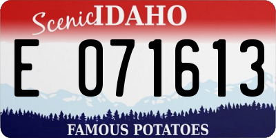 ID license plate E071613