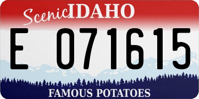 ID license plate E071615