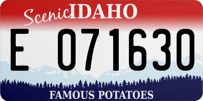 ID license plate E071630