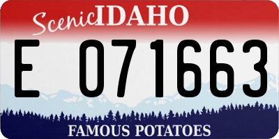 ID license plate E071663