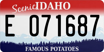 ID license plate E071687