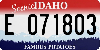 ID license plate E071803