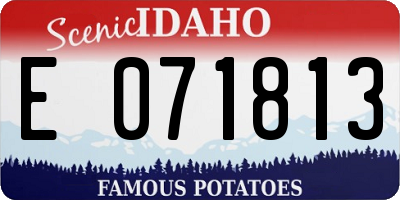 ID license plate E071813