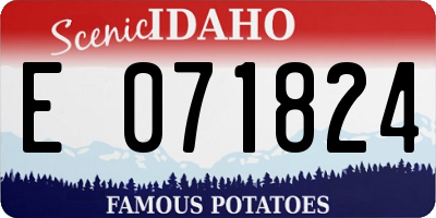 ID license plate E071824
