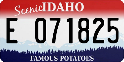 ID license plate E071825