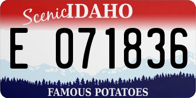 ID license plate E071836