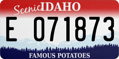 ID license plate E071873