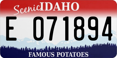 ID license plate E071894
