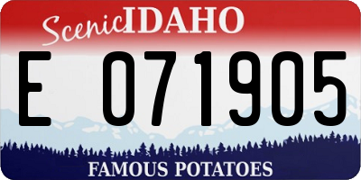 ID license plate E071905