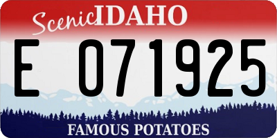 ID license plate E071925