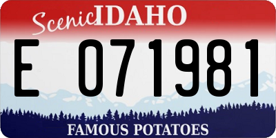 ID license plate E071981