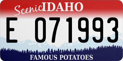 ID license plate E071993
