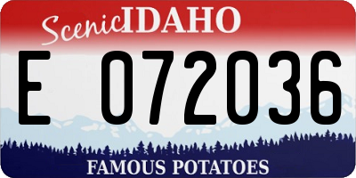ID license plate E072036