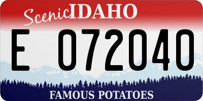 ID license plate E072040