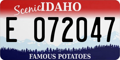 ID license plate E072047