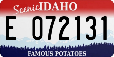 ID license plate E072131