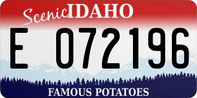 ID license plate E072196