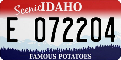 ID license plate E072204