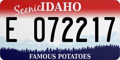 ID license plate E072217