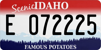 ID license plate E072225