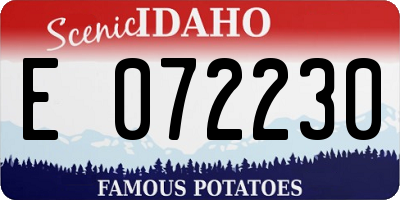 ID license plate E072230
