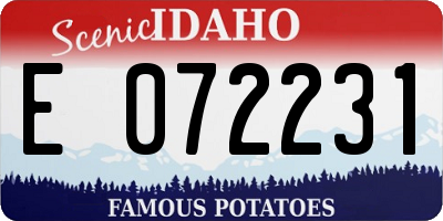 ID license plate E072231