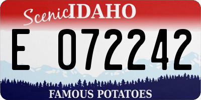 ID license plate E072242