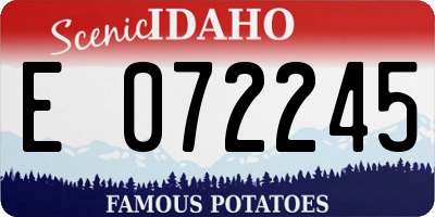 ID license plate E072245