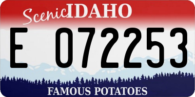 ID license plate E072253