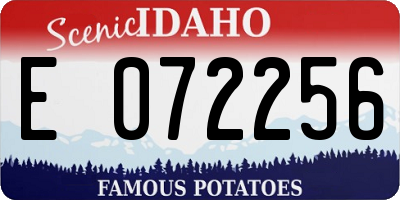 ID license plate E072256