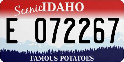 ID license plate E072267