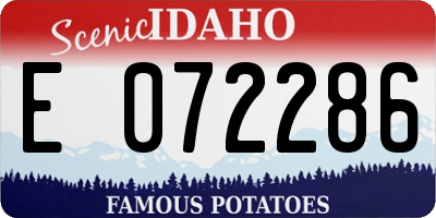 ID license plate E072286