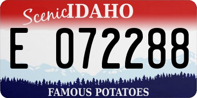 ID license plate E072288