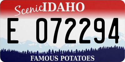 ID license plate E072294