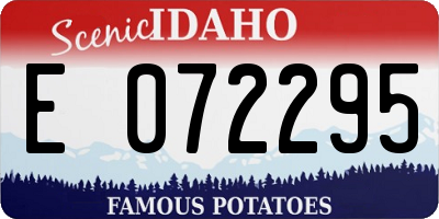 ID license plate E072295