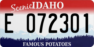 ID license plate E072301