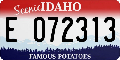 ID license plate E072313