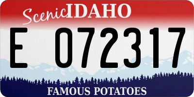 ID license plate E072317