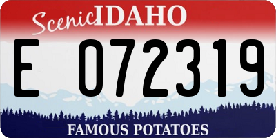 ID license plate E072319