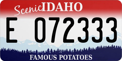 ID license plate E072333
