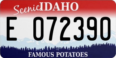 ID license plate E072390