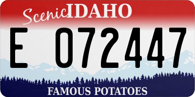 ID license plate E072447