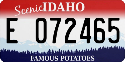 ID license plate E072465