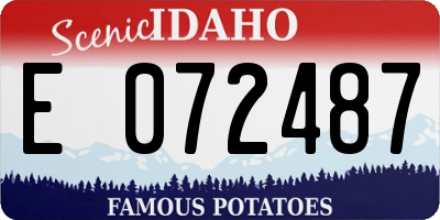 ID license plate E072487