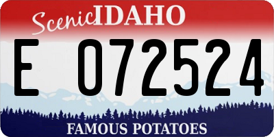 ID license plate E072524