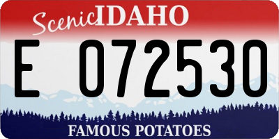 ID license plate E072530