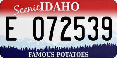 ID license plate E072539