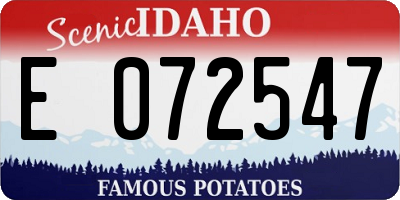 ID license plate E072547