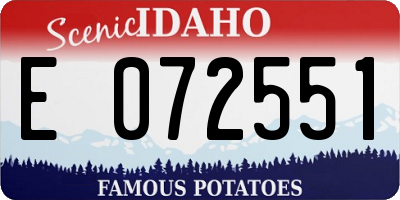 ID license plate E072551